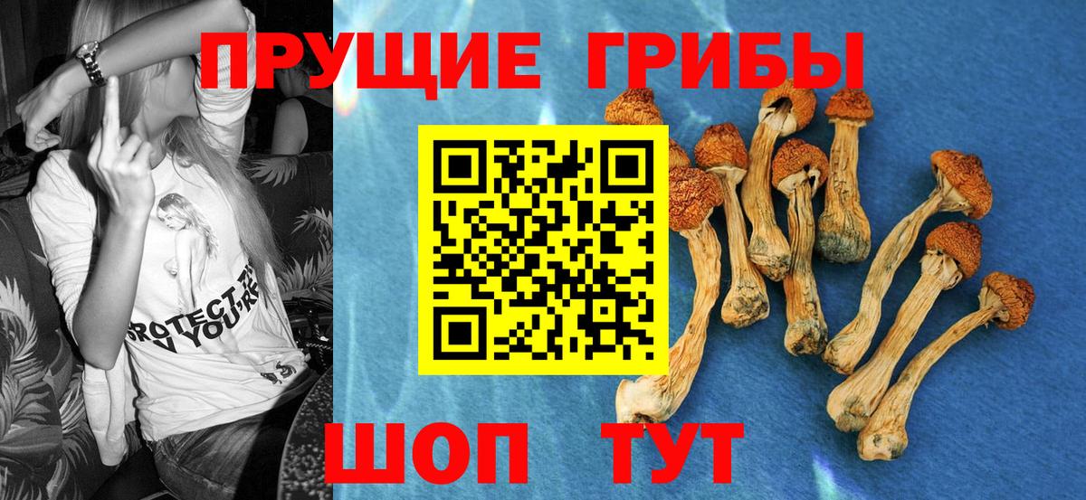Псилоцибиновые грибы мухоморы Псков