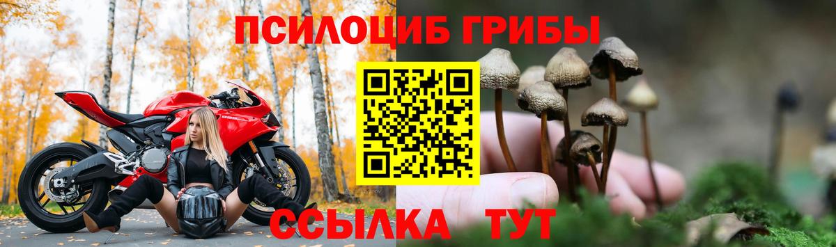 Псилоцибиновые грибы прущие грибы  закладки  Псков  Вход с VPN 